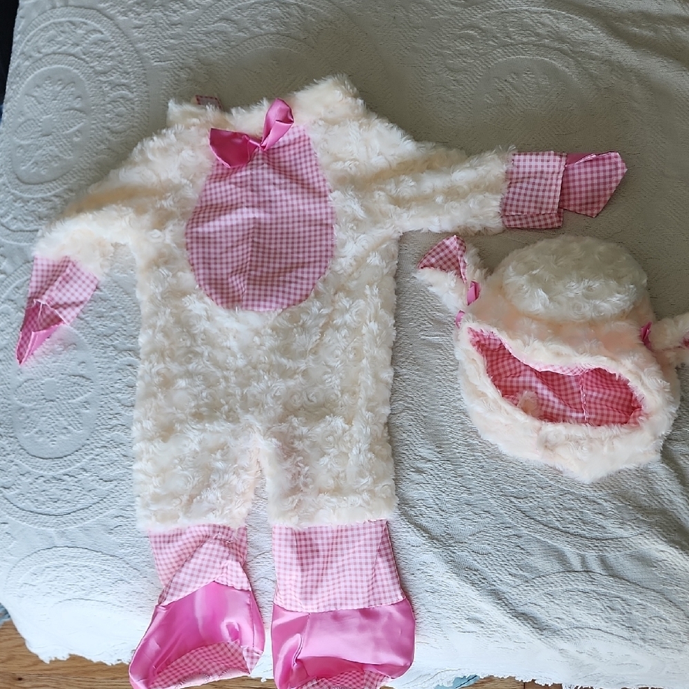 Adorable Pink and Cream Baby Costume